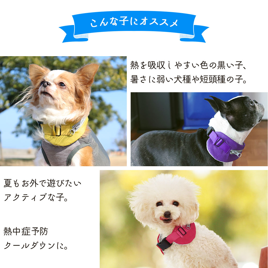 3個セット クランチーチーズクリスプ スイス 2oz 各57g Bunker