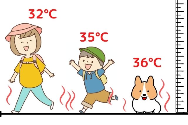 コーギーの夏の暑さ体感温度の図解