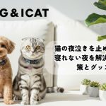猫の夜泣きを止める方法は?寝れない夜を解決する基本対策とグッズ3選