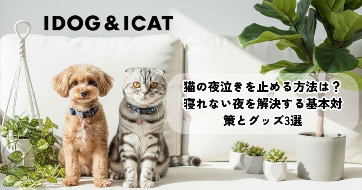 猫の夜泣きを止める方法は？寝れない夜を解決する基本対策とグッズ3選