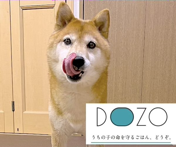 愛犬の健康寿命を考えた特別なごはん「DOZO」試食レポート