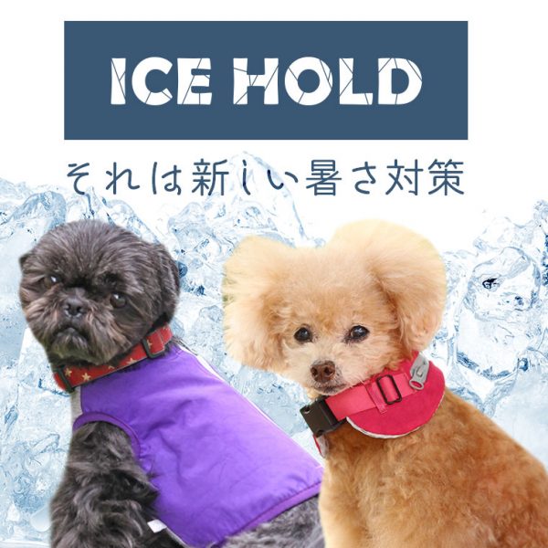 【2022年春夏版】「ひんやり」を持ち運べるIDOG ICE HOLDがリニューアルして新発売!!