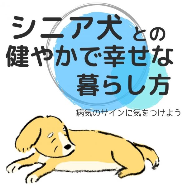 老犬がかかりやすい病気のサインと見分け方ーシニア犬との暮らしー #170