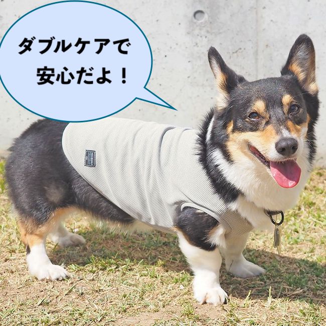 idogのクール服を着るコーギー