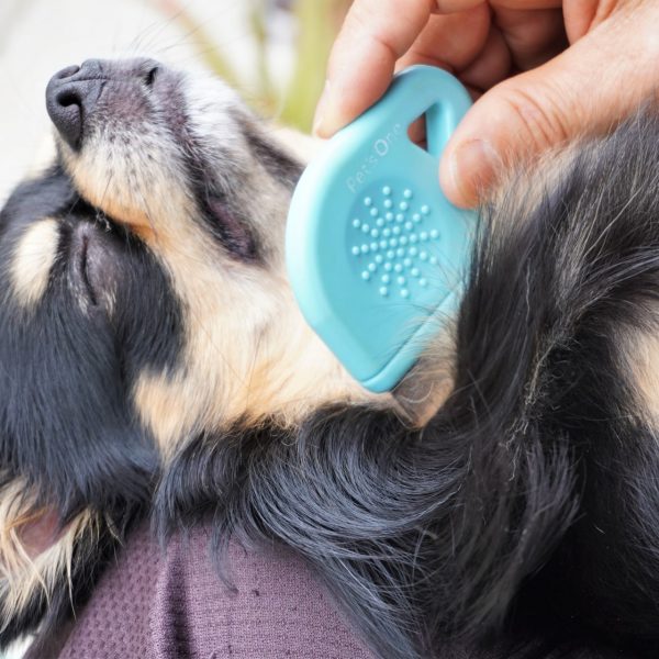 飼い犬の抜け毛対策はどうしたらいい?普段から行える4つの方法を解説! #175