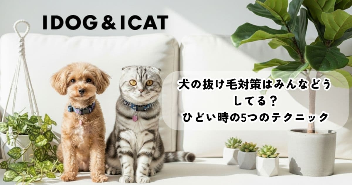 犬の抜け毛対策はみんなどうしてる？ひどい時の5つのテクニックを解説