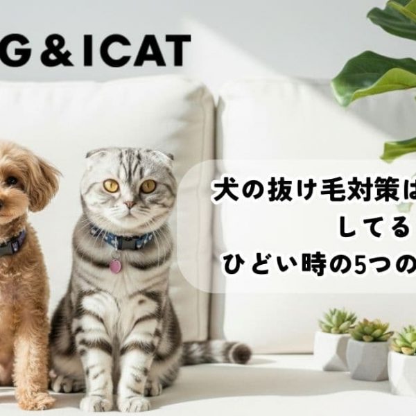 犬の抜け毛対策はみんなどうしてる？ひどい時の5つのテクニックを解説
