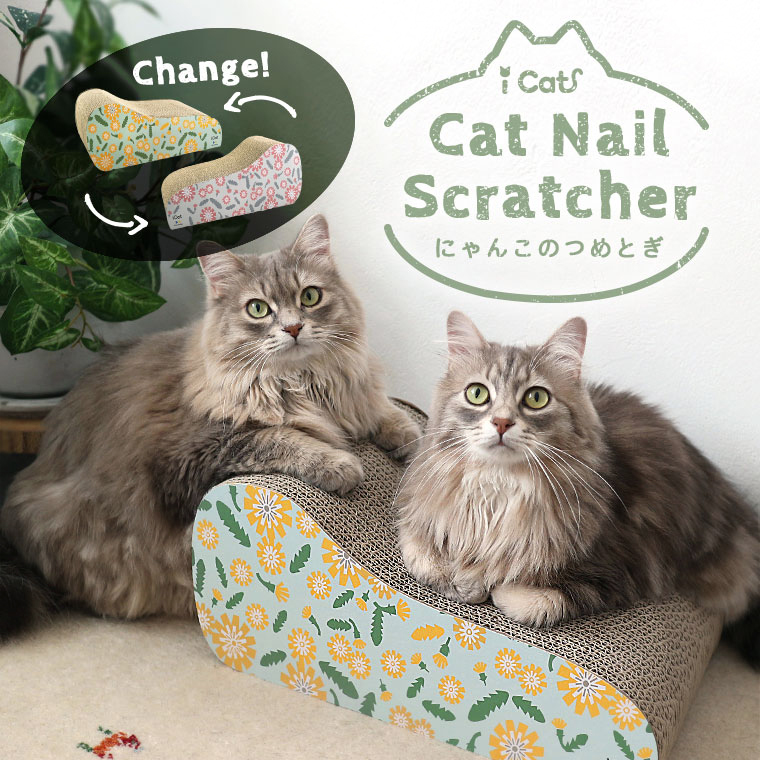 猫がふみふみする理由とふみふみしない猫との違いとは 50 Idog Icat