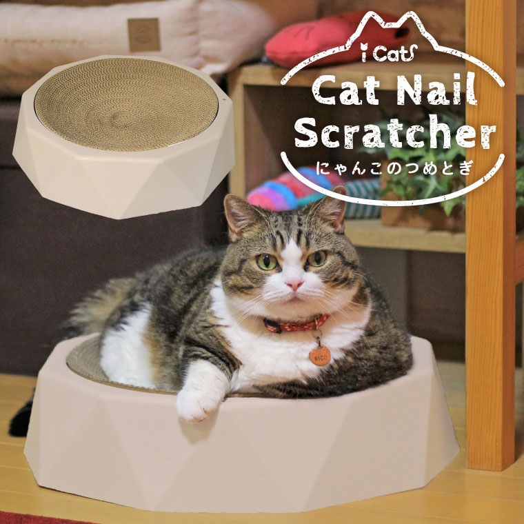 【 猫 爪とぎ 】iCat つめとぎ デカゴン グレージュケース付き