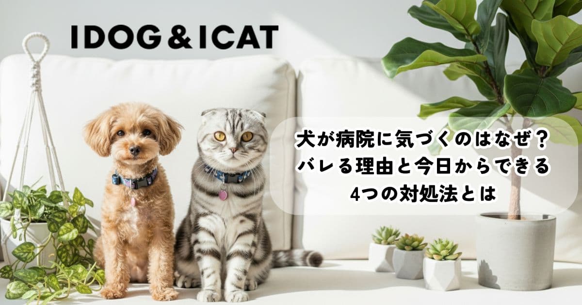犬が病院に気づくのはなぜ？バレる理由と今日からできる4つの対処法