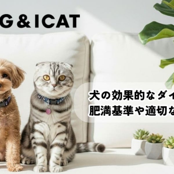 犬の効果的なダイエット方法は？肥満の基準や適切な食事と運動を解説