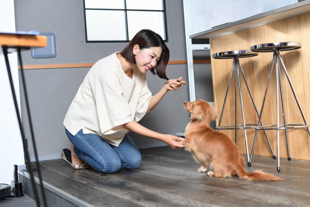 犬が吠えることをやめさせるにはどうしたらいい 5つのしつけ方法を解説 1 Idog Icat