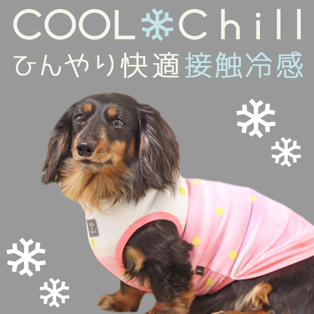 22年春夏版 夏の暑さや紫外線から愛犬を守る 接触冷感機能のペット用ウェア Cool Chill クールチル 198 Idog Icat