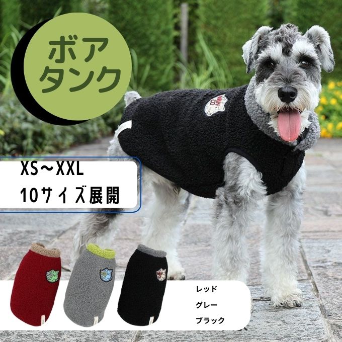 冬に防寒用の犬服を着るミニチュア・シュナイザー