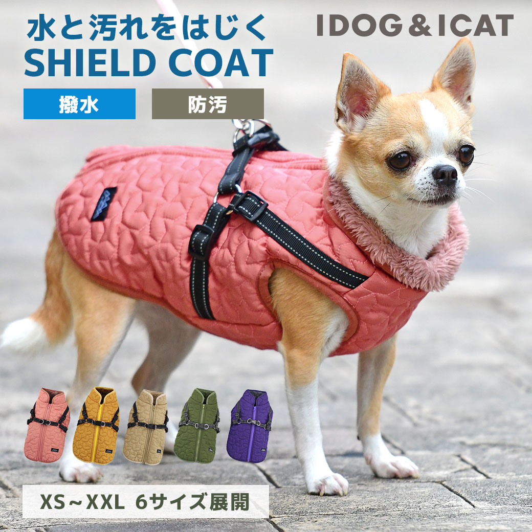 犬が吠えることをやめさせるにはどうしたらいい 5つのしつけ方法を解説 1 Idog Icat