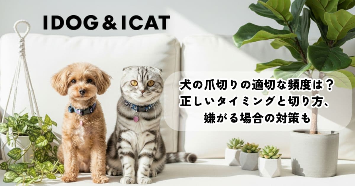 犬の爪切りの適切な頻度は？正しいタイミングと切り方、嫌がる場合の対策も