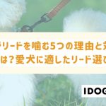 犬がリードを噛む6つの理由とその対処法とは？愛犬に適したリード選びも！