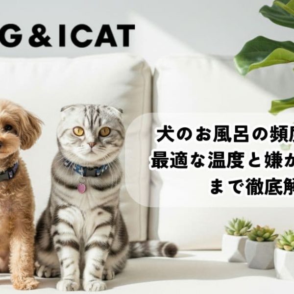 犬のお風呂の頻度は月1回？最適な温度と嫌がる時の対策まで徹底解説！