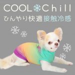 夏の暑さや紫外線から愛犬を守る！接触冷感機能のペット用ウェアCOOL Chill