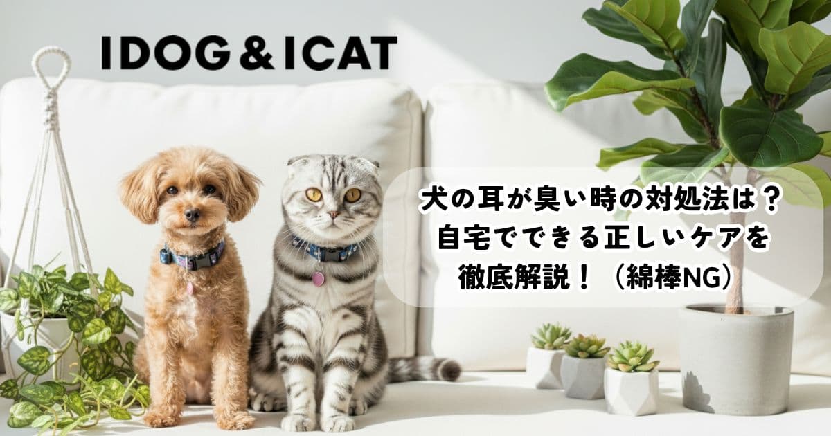 犬の耳が臭い時の対処法は？綿棒はNG？自宅でできる正しいケアを解説！