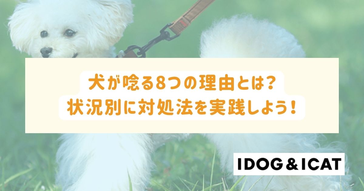 犬が唸る8つの理由とは？状況別に適した対処法を実践しよう！