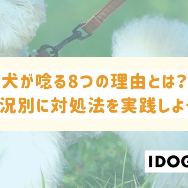 犬が唸る8つの理由とは？状況別に適した対処法を実践しよう！