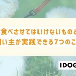 犬に食べさせてはいけないものとは？飼い主が実践できる7つのこと