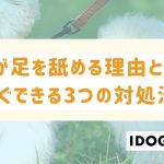 犬が足を舐める理由とは？今すぐ実践できる3つの対処法も解説！