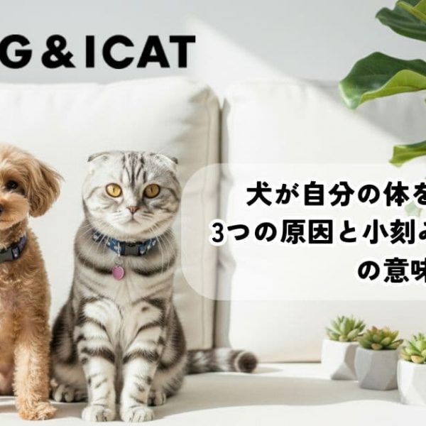 犬が自分の体を噛む理由とは？3つの原因と小刻みに噛む行為の意味も解説