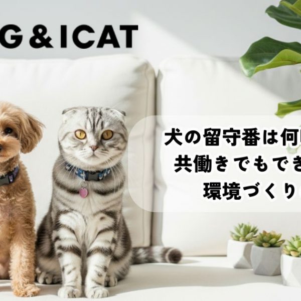 犬の留守番は何時間まで？共働きでもできる対策と環境づくりのコツ