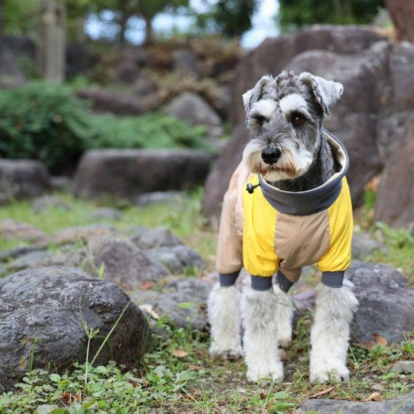 長袖やつなぎタイプの犬服にはメリットがいっぱい！シーン別のおすすめドッグウェアの紹介も