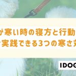 犬が寒い時の寝方と行動は？今すぐ実践できる3つの寒さ対策も解説！
