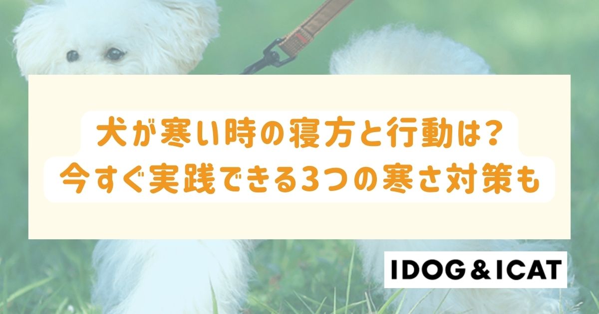 犬が寒い時の寝方と行動は？今すぐ実践できる3つの寒さ対策も解説！