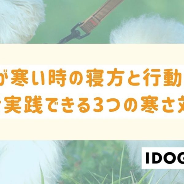 犬が寒い時の寝方と行動は？今すぐ実践できる3つの寒さ対策も解説！