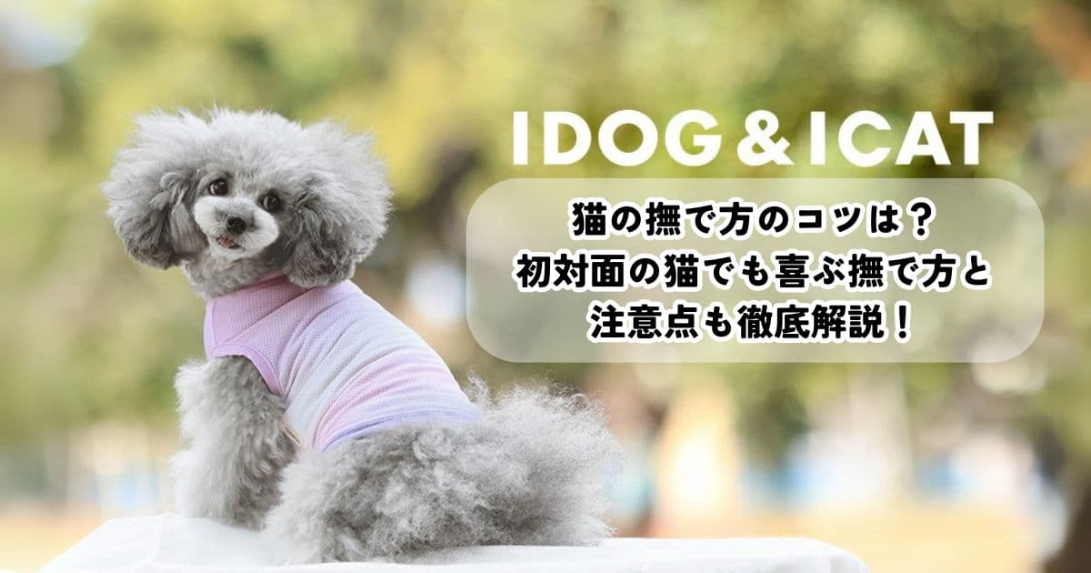 猫の撫で方のコツは?初対面の猫でも喜ぶ撫で方と注意点も徹底解説!