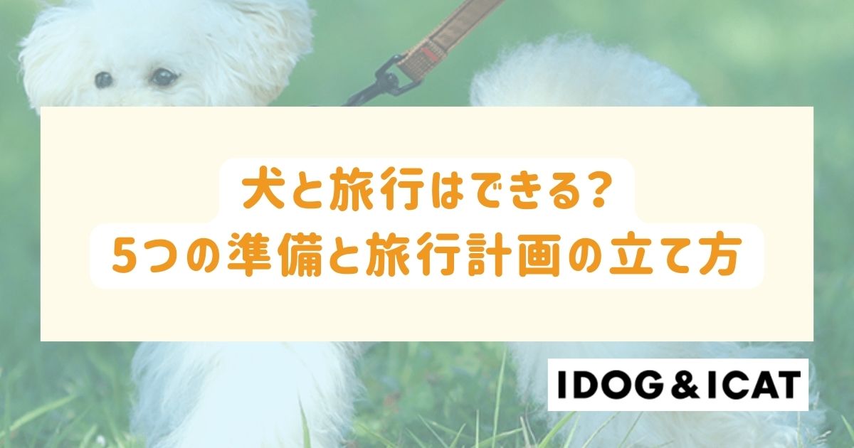 犬と旅行はできる？最大限に楽しむための5つの準備と旅行計画の立て方