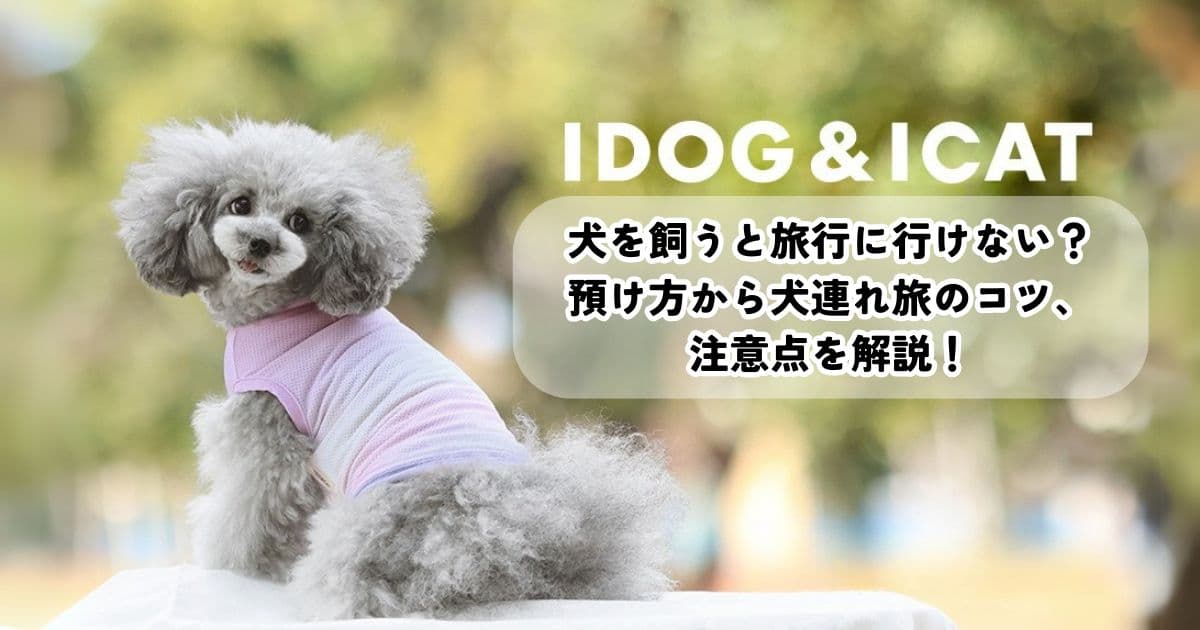 犬を飼うと旅行に行けない?預け方から犬連れ旅のコツ、注意点を解説!