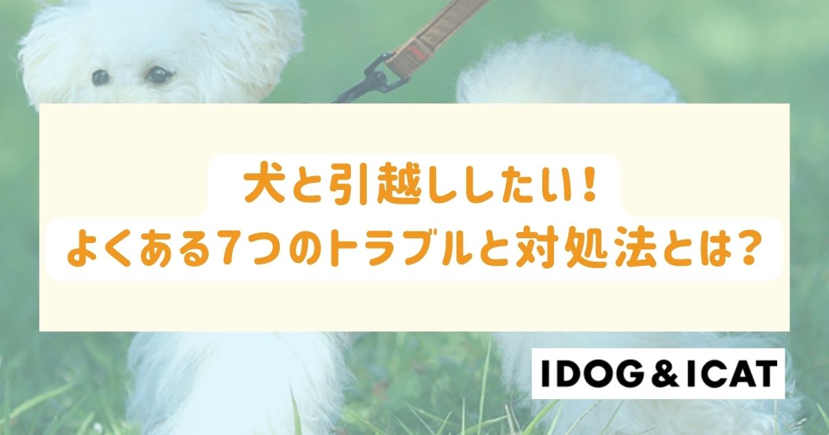 犬と引越ししたい！よくある7つのトラブルと対処法とは？