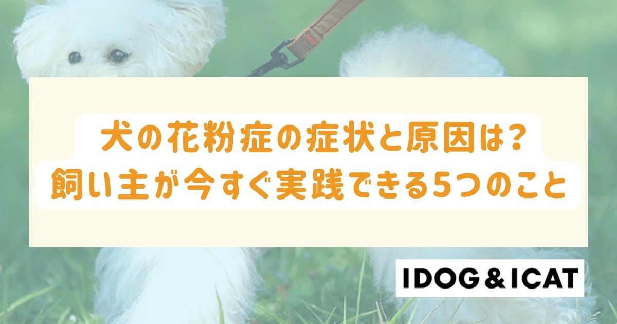 犬の花粉症の症状と原因は？飼い主が今すぐ実践できる5つのこと