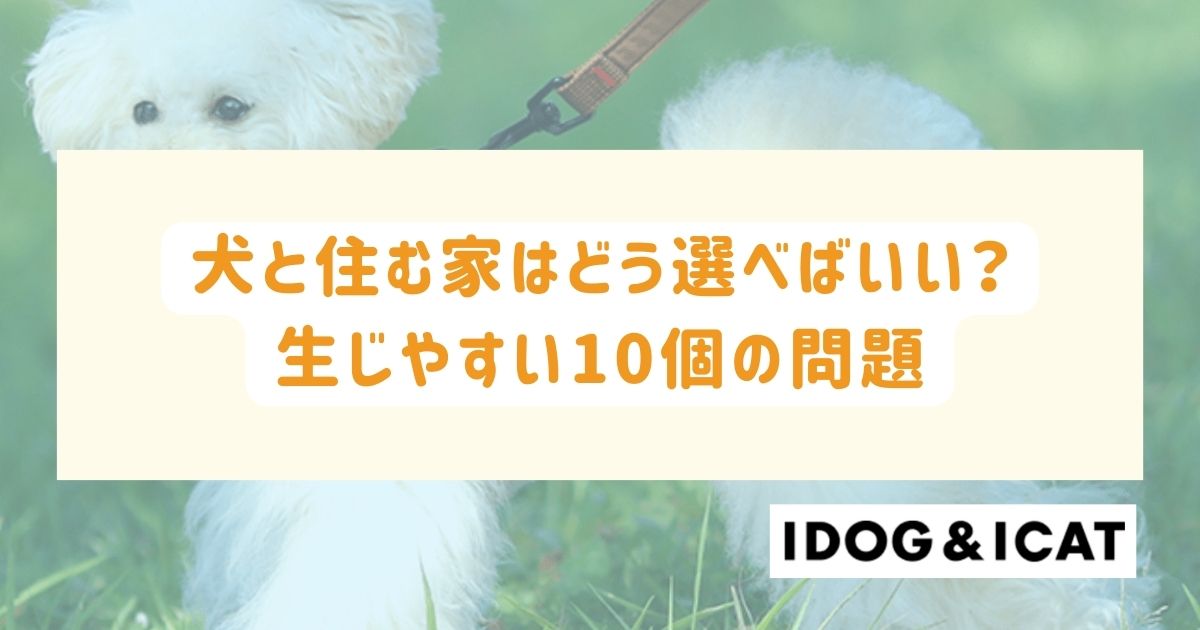 犬と住む家はどう選べばいい？犬と暮らす上で生じやすい10個の問題