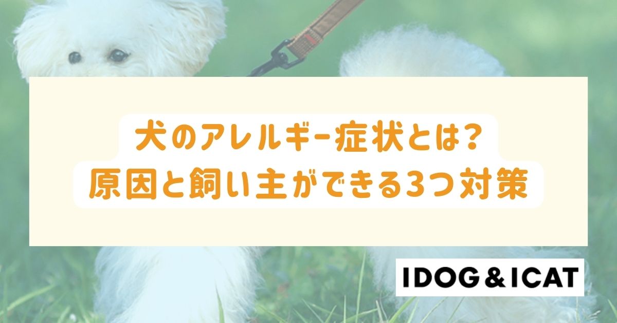 犬のアレルギー症状とは？原因と飼い主ができる3つ対策を解説！