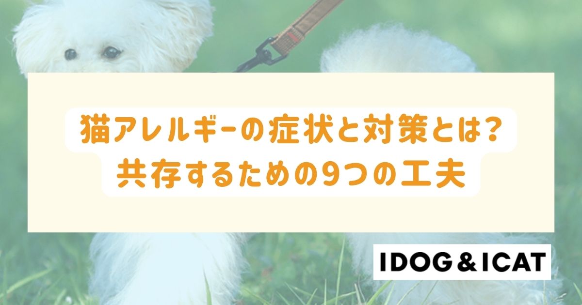 猫アレルギーの症状と対策とは？猫アレルギーと共存するための9つの工夫