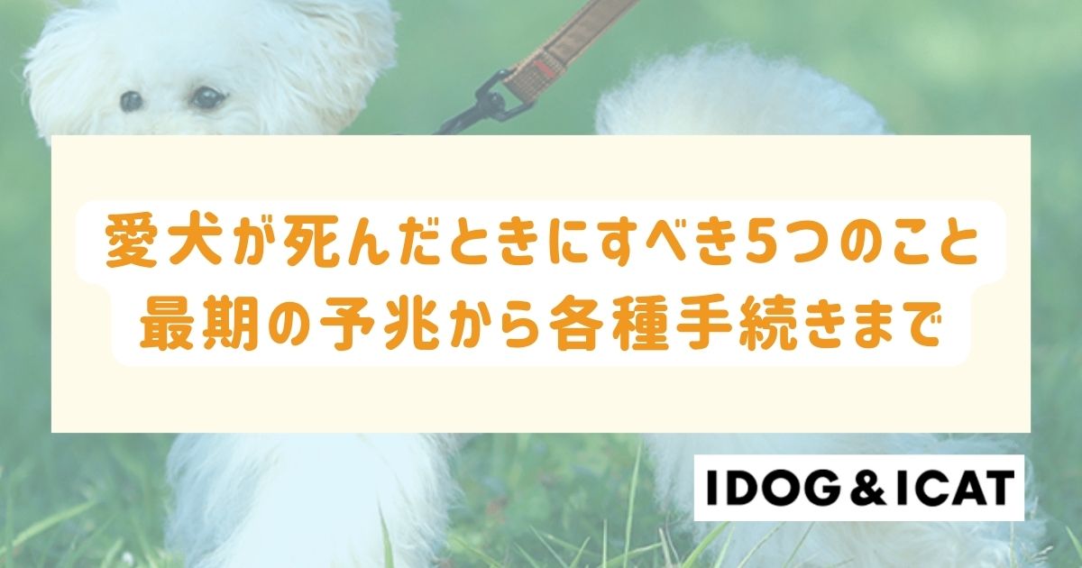 愛犬が死んだときにすべき5つのこととは？最期の予兆から各種手続きまで