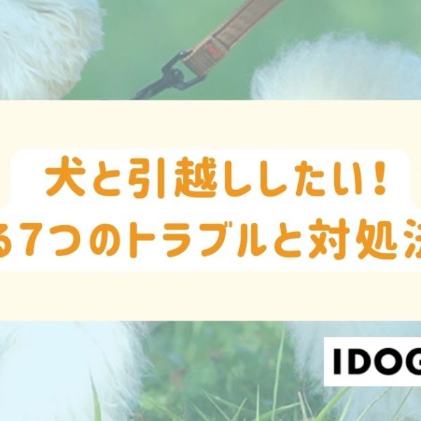 犬と引越ししたい！よくある7つのトラブルと対処法とは？