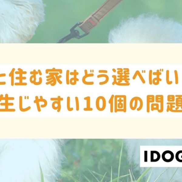 犬と住む家はどう選べばいい?犬と暮らす上で生じやすい10の問題