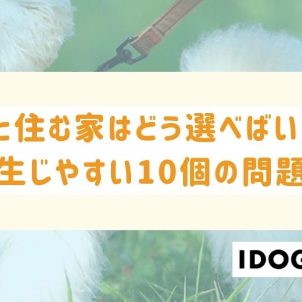 犬と住む家はどう選べばいい？犬と暮らす上で生じやすい10の問題