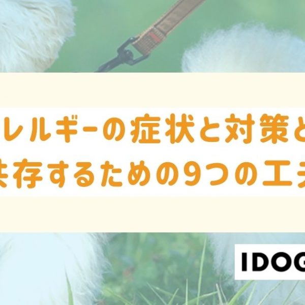 猫アレルギーの症状と対策とは？猫アレルギーと共存するための9つの工夫