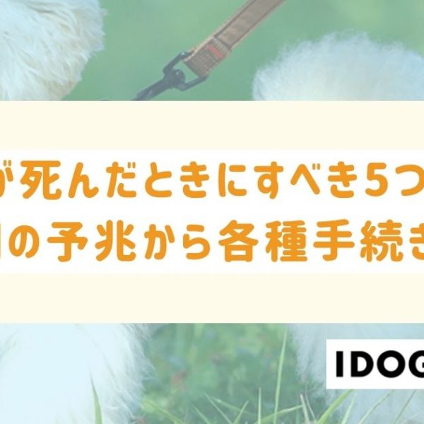 愛犬が死んだときにすべき5つのこととは？最期の予兆から各種手続きまで