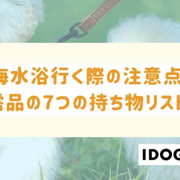 犬と海水浴行く際の注意点とは？必需品の7つの持ち物リストも！
