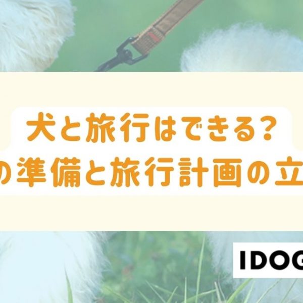 犬と旅行はできる？最大限に楽しむための5つの準備と旅行計画の立て方